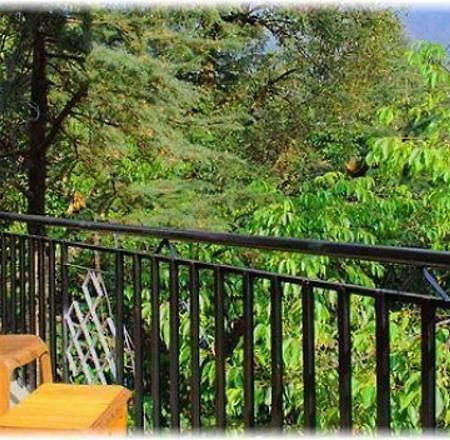Hotel Misty Woods 达兰萨拉 外观 照片